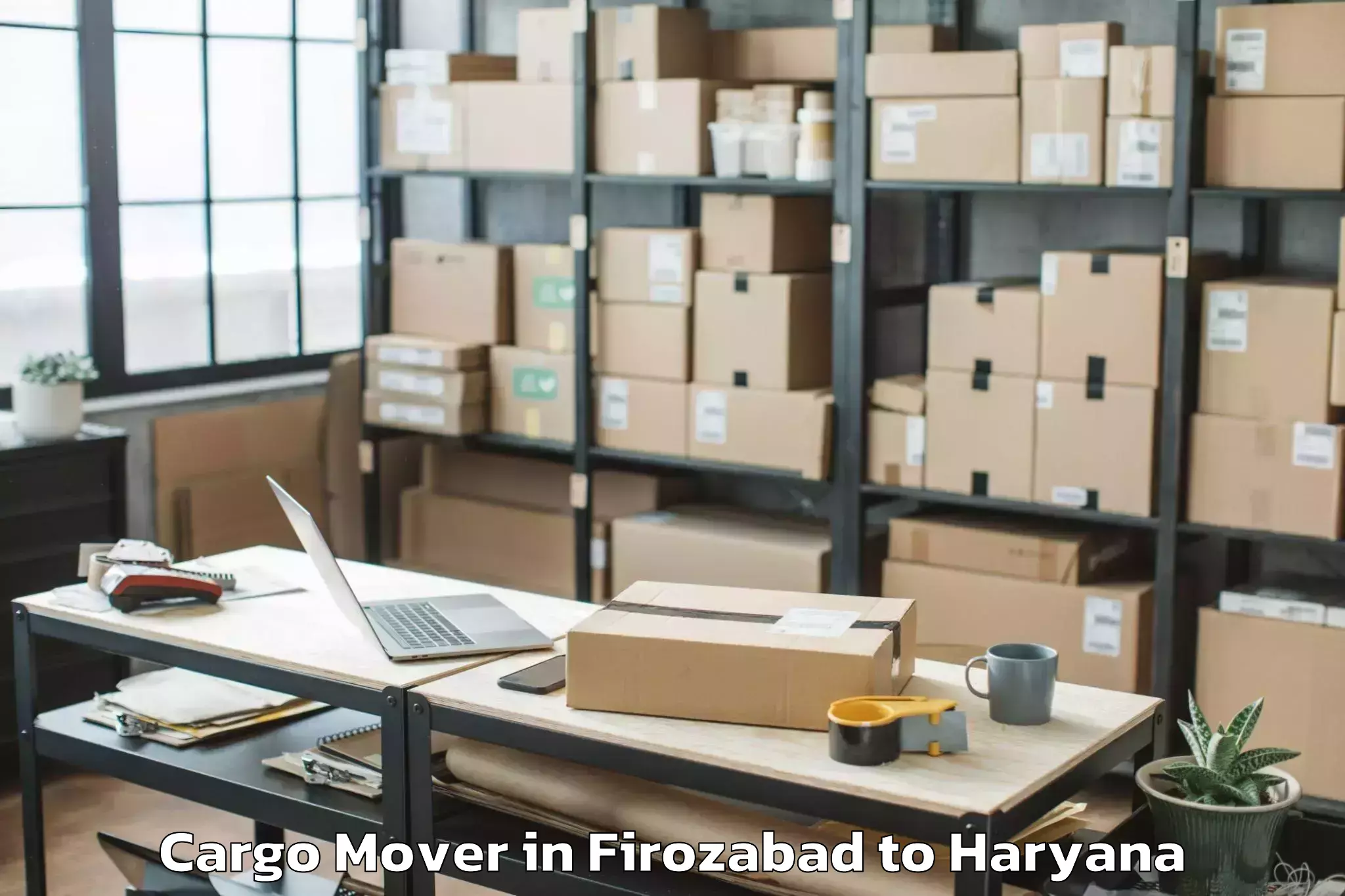 Top Firozabad to Chaudhary Charan Singh Haryana Cargo Mover Available